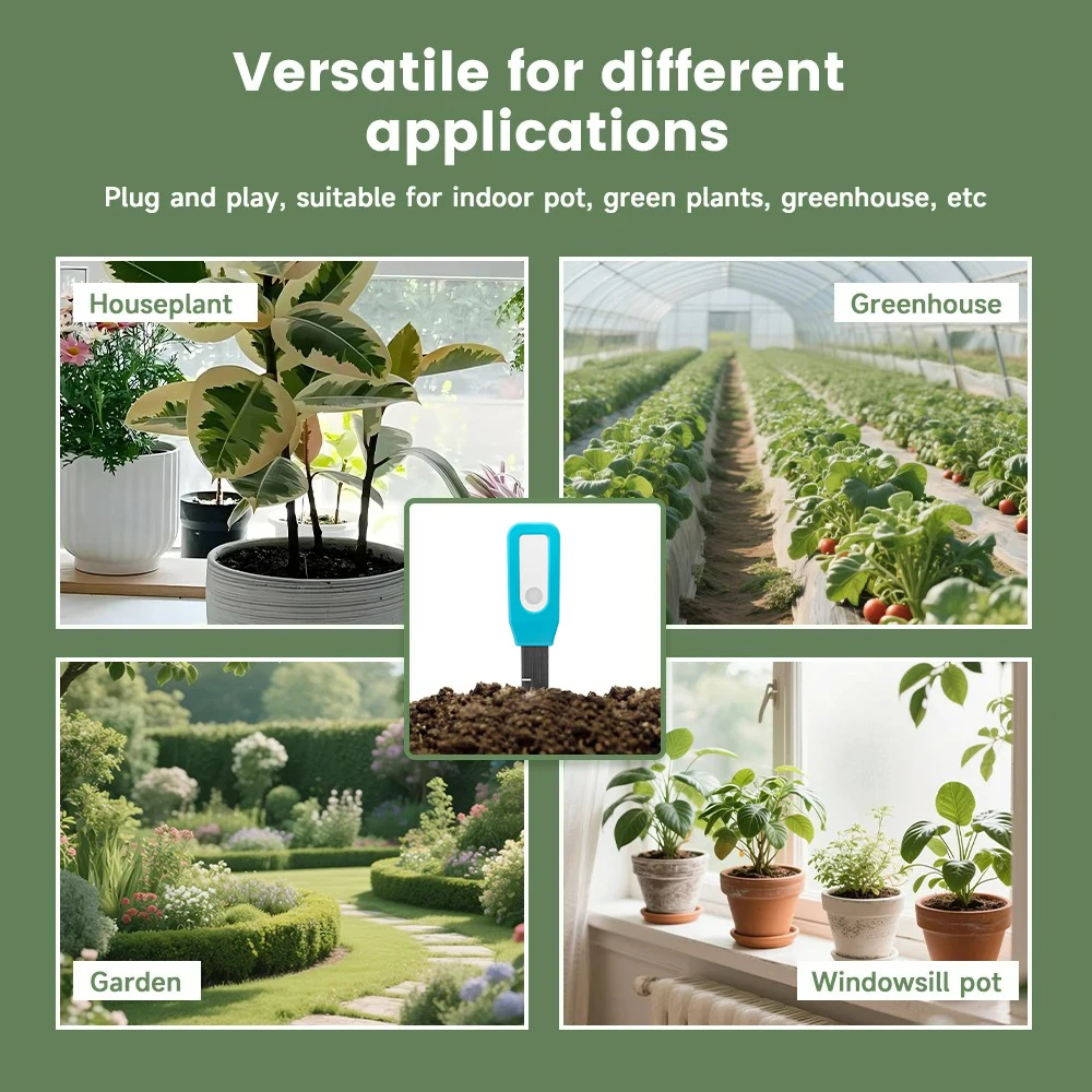 Sensor Inteligente de Teste de - Smart Garden Domes avaliação e preço